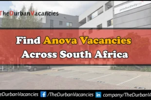 Anova Vacancies