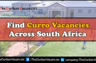 Curro Vacancies