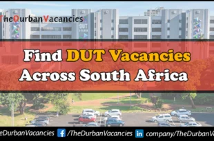DUT Vacancies