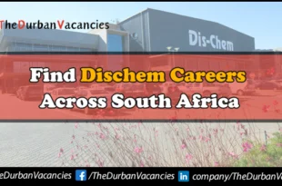 Dischem Careers