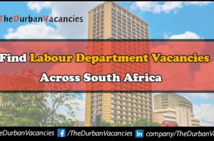 Labour Department Vacancies
