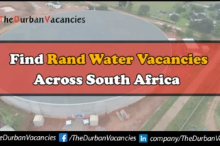 Rand Water Vacancies