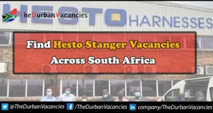 Hesto Stanger Vacancies