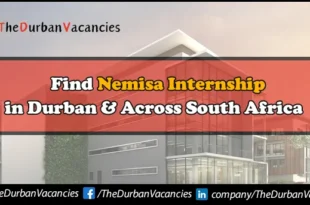 NEMISA Internships